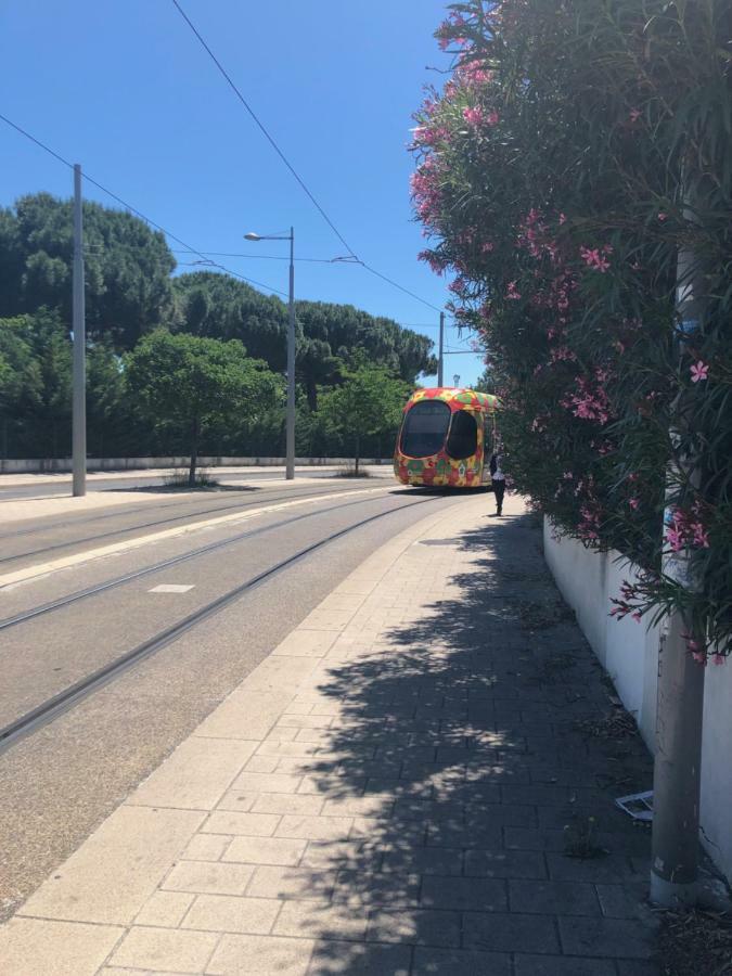Appartement Mimosa, Tram 2, Parking Montpellier Zewnętrze zdjęcie