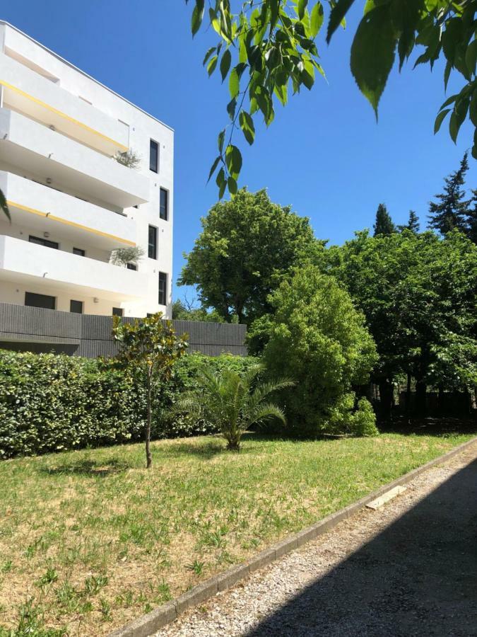 Appartement Mimosa, Tram 2, Parking Montpellier Zewnętrze zdjęcie